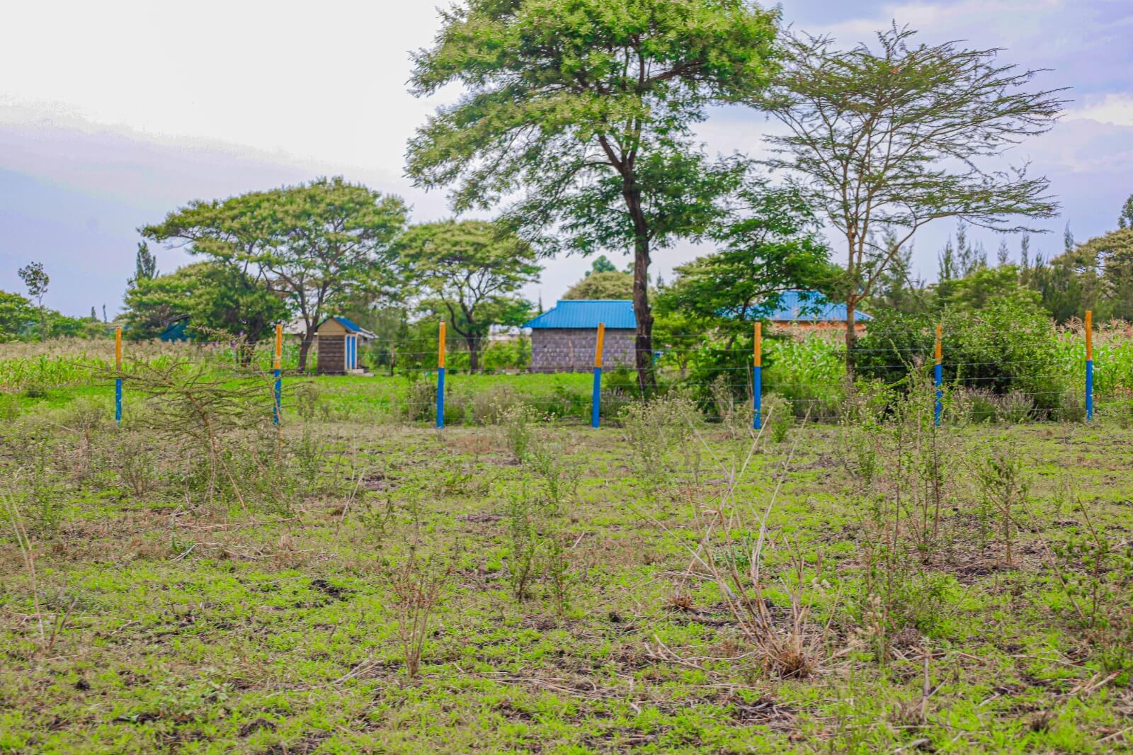 PRIME PLOTS FOR SALE IN KILIMA MBOGO - Gallery Image