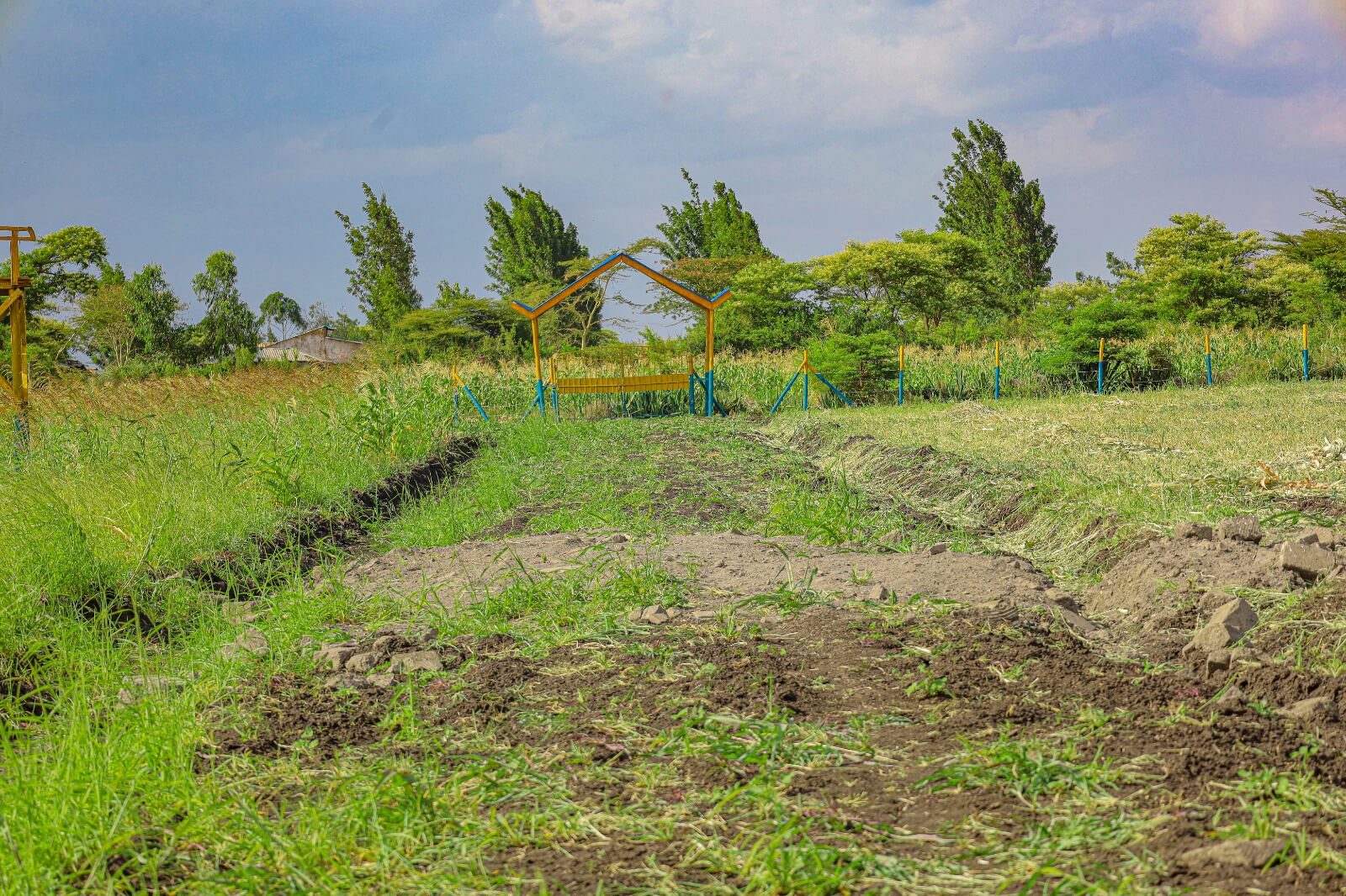 PRIME PLOTS FOR SALE IN KILIMA MBOGO - Gallery Image