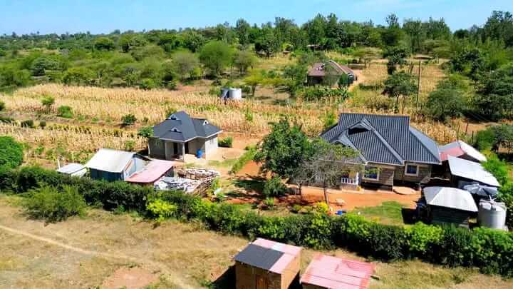 PRIME PLOTS FOR SALE IN KILIMA MBOGO - Gallery Image