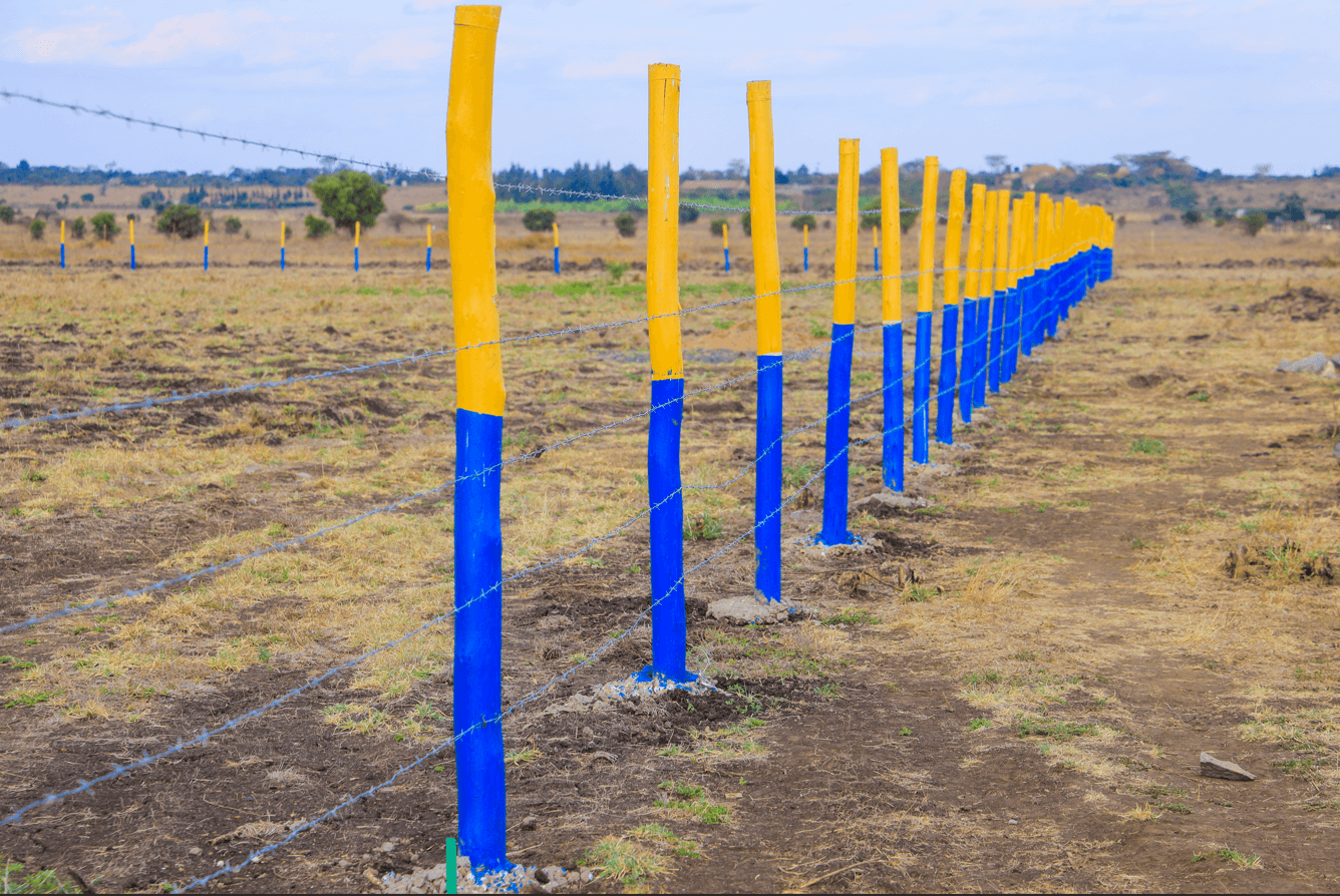 Malaa Plots for Sale - Gallery Image